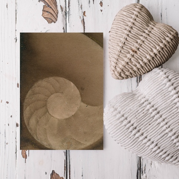 Original ACEO - Miniature Sea Shell Shell Painting - Nautilus Shell 604 - Picture 5 of 5